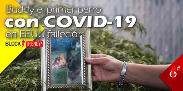 Buddy el primer perro con COVID-19 en EEUU falleció