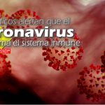 Científicos alertan que el coronavirus desarma el sistema inmune