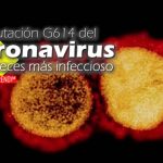La mutación G614 del coronavirus es 9 veces más infeccioso