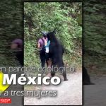 Oso en parque ecológico de México asusta a tres mujeres