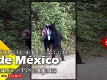Oso en parque ecológico de México asusta a tres mujeres