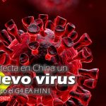 Se detecta en China un nuevo virus zoonótico el G4 EA H1N1