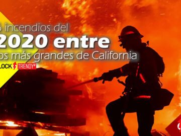 6 incendios del 2020 entre los más grandes de California