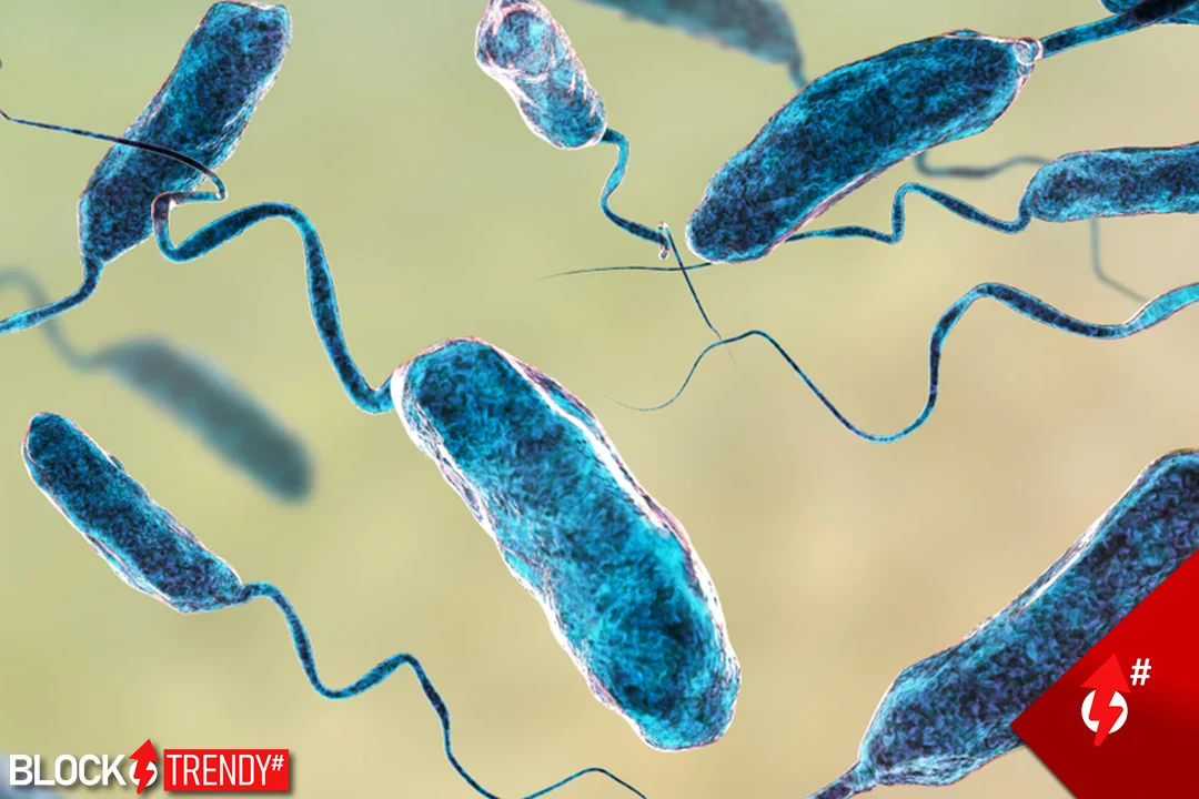 los cdc emiten alerta nacional por bacteria carnivora health 2