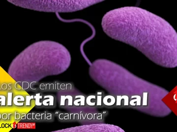 los cdc emiten alerta nacional por bacteria carnivora health