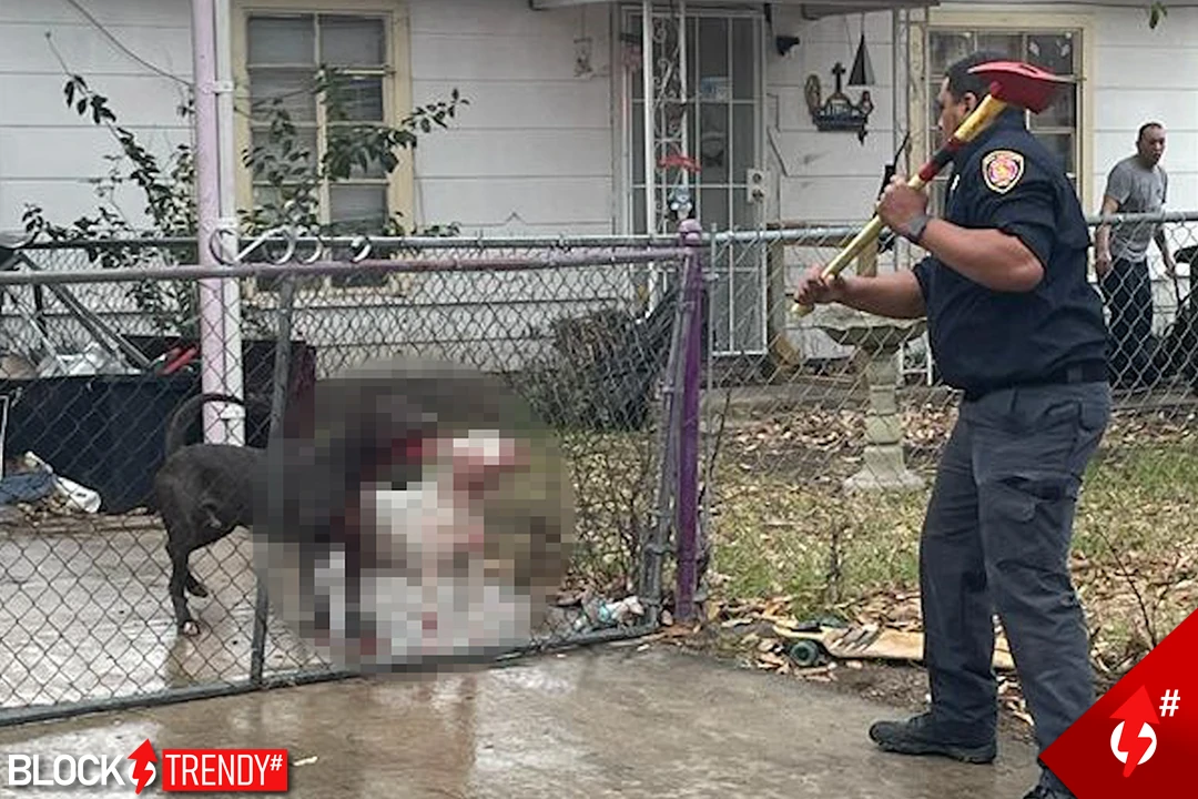 dos pitbulls atacaron a hombre que queria ayudarlos en texas animals 4