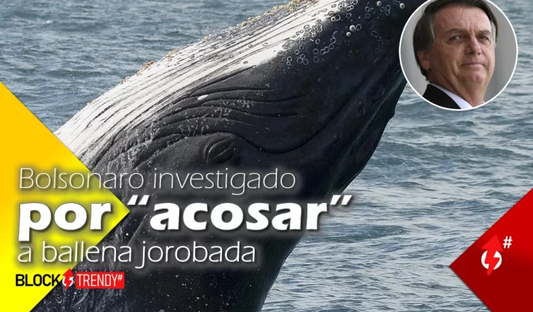 Bolsonaro investigado por “acosar” a ballena jorobada